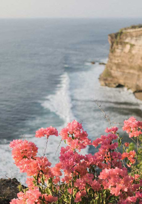 Imagen referencial de Insear