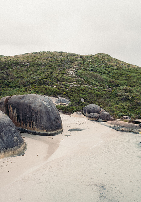 Imagen referencial de Insmoor