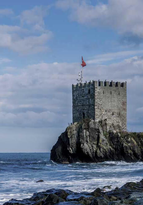 Imagen referencial de Insweal